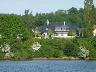 Fischreiher 2 - Kappeln - 8