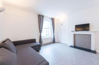 Luxury 2 Bedroom Flat in Balcombe Street - 8
