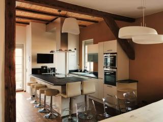 Luxus Apartment mit Blick über Erfurt im Zentrum - 9