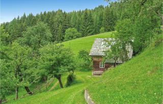 Ferienhaus Bad St Leonhard - 3