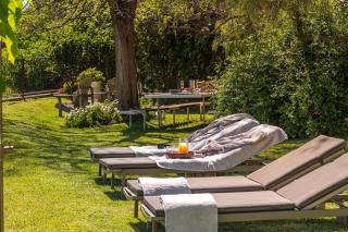 Botanica Living Magnolia Apt - Quinta Grande - 7