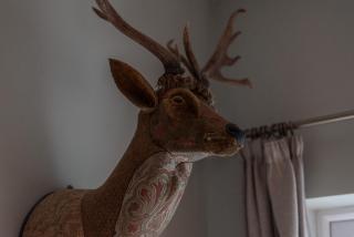 Quirky, Vintage 2 bed flat - Londra - 1