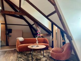 Suitehotel Pincoffs - 1