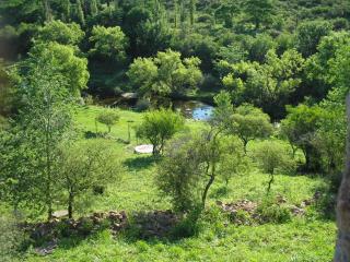 Cabañas Wasirumi - 3