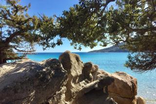 Charming Duplex In Porto Vecchio - Porto-Vecchio - 1
