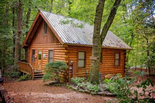 Creek Crest Cabin Ocoee Riverside Cabin - Ocoee - 9