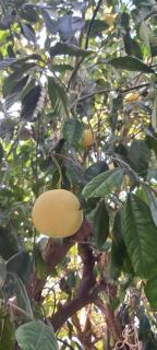 River's Vally עמק המעיינות המהמם - 4