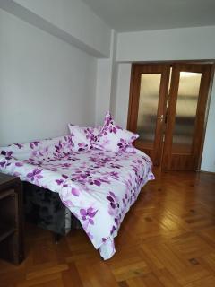 Central Bucuresti - Penthouse - Romana Dorobanti British Council - sector 1 - Bucharest - 2