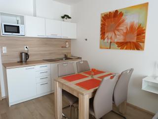 Apartmán U Sjezdovky - 6