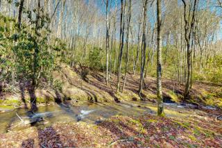 Fulmers' Fish Camp - Maggie Valley - 7