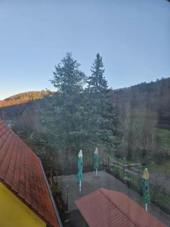 Naturfreundehaus - Annweiler am Trifels - 9