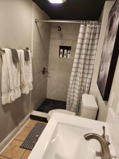Bright & Spacious Studio Close to CLT Airport - Gastonia - 3