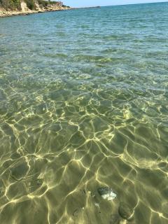 Alex Beach - Elenite - 2