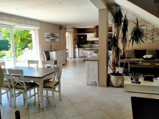 Villa de standing tout confort PISCINE climatisation - Montauroux - 3