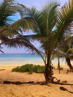Playa Lakin-ha beachfront cabins - 0