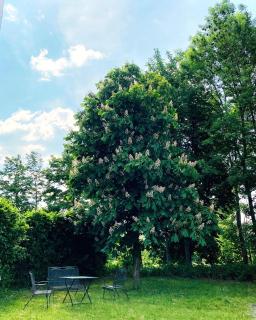 Das SinGold Hotel mit Highspeed WLAN und digitalem Schlüssel - 5