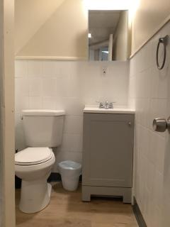 Cozy Apt near BU, Lourdes, UHS - Johnson City - 3