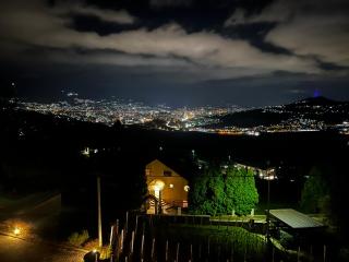 Hedona Vineyard Apartments - Sarajevo - 6