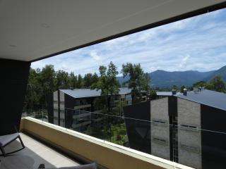 Depto Vista Valle Pucón - 1