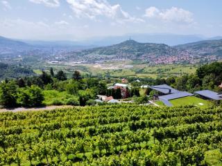 Hedona Vineyard Apartments - Sarajevo - 9