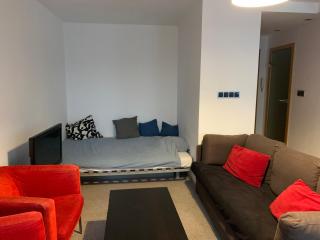 Studio Flat - 3 Stawy park - Katowice - 0