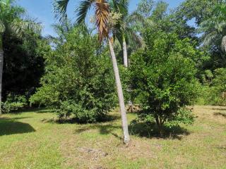 Rusteak Living Retreat in natural and peaceful setting in Canafistula - Cañafístula - 2