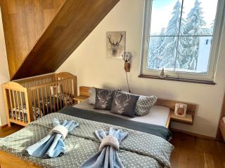 Apartmán U Tří smrků - Boží Dar - 9