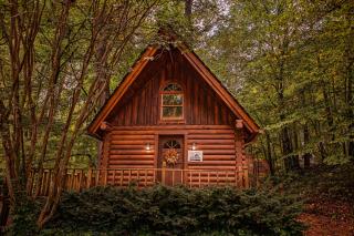 Ivy Cottage Cute Cottage Along The Ocoee River - Ocoee - 0