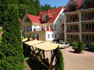 Recreation Complex Sunny Resort - Polyana - 8