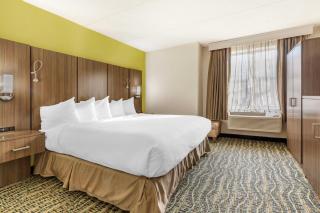 Best Western Plus New Englander - Woburn - 5