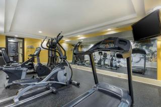 Best Western Plus New Englander - Woburn - 6