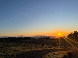 Cosy Glamping Tent 5 - Ararat - 1