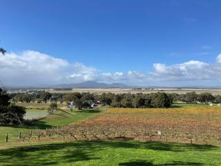 Cosy Glamping Tent 6 - Ararat - 4