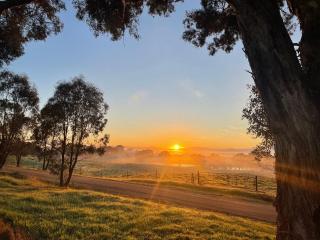 Cosy Glamping Tent 6 - Ararat - 2