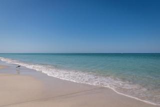 Palm Cay 4 - Holmes Beach - 5