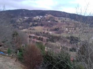 Chalet 3 étoiles avec sauna près de La Bresse - FR-1-589-18 - 4