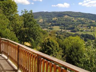 Chalet 3 étoiles avec sauna près de La Bresse - FR-1-589-18 - 3