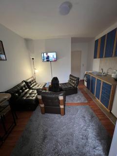 Apartment Dida Ledine - Belgrado - 9