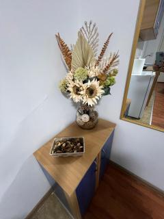 Apartment Dida Ledine - Belgrado - 2