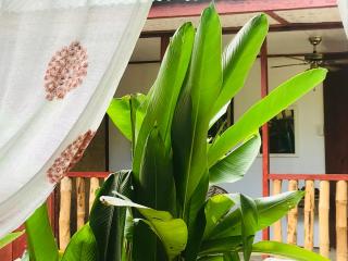Balili Farm At Nacpan - El Nido - 2