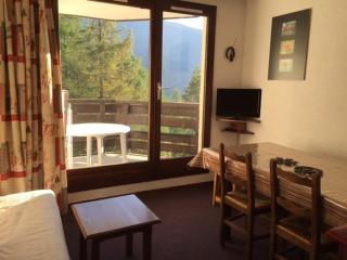 Studio Les Orres 1650 - 4 pers, près des pistes, balcon, animaux admis - FR-1-322-566 - 0
