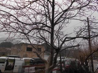 Οροπέδιο Καθαρού Κριτσάς- Αβελιακό - 1