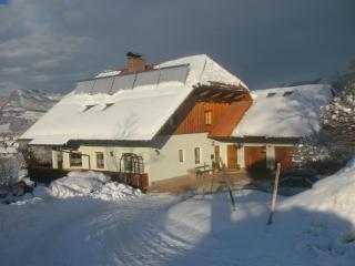 Haus Schober - Windischgarsten - 0