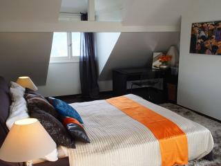 Beautiful French mountain home - Marignier - 4