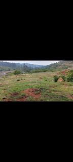 Buyanie campsite - - 6