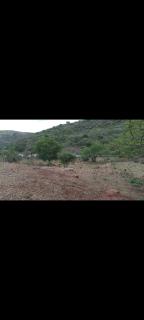 Buyanie campsite - - 3