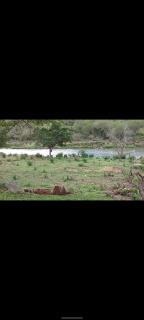 Buyanie campsite - - 2