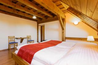 Hotel Leyla - Frymburk - 3