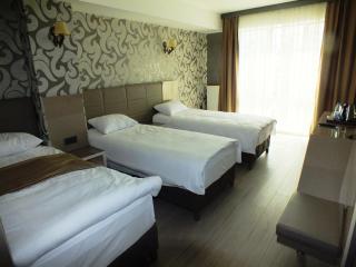 Colonia Park Otel - Şebinkarahisar - 5