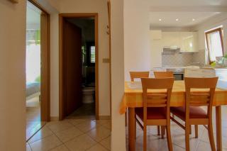 Alenka Green - Novigrad - 3